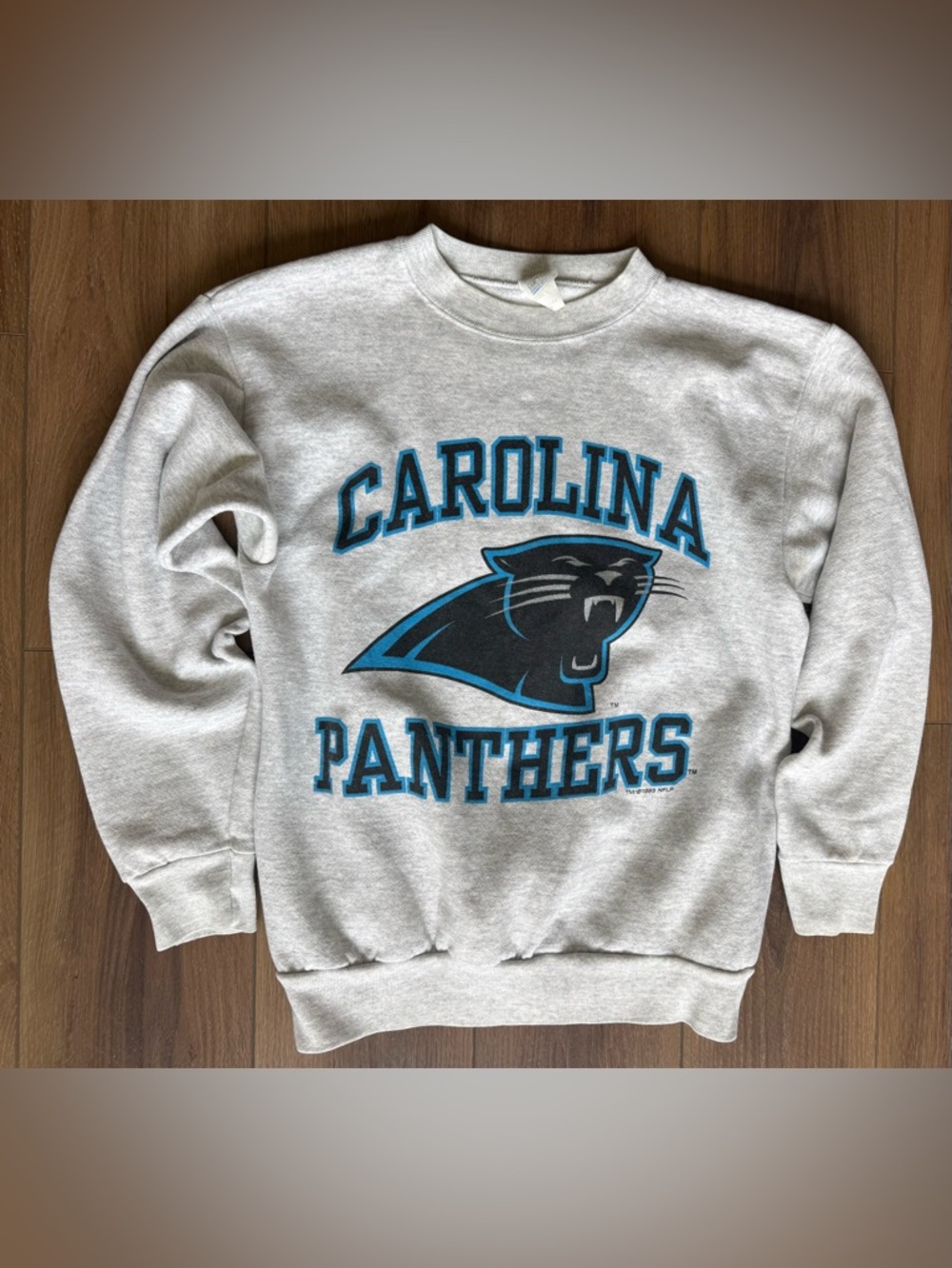 Vintage 1993 Carolina Panthers Sweatshirt Mens L Gray Made USA Pullover NFL
